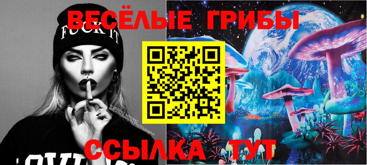 купить наркотик  Галлюциногенные грибы Psilocybe  Тамбов  Вход с VPN  Галлюциногенные грибы Magic Shrooms 