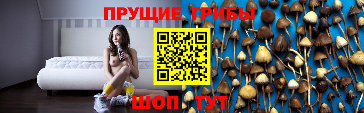 Галлюциногенные грибы прущие грибы Тамбов